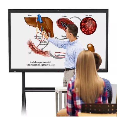 Infrared 20 Touch Point Ultra HD 4K Smart Interactive Whiteboard Android 11.0 OS